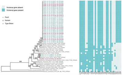 Characterization of Emetic and Diarrheal Bacillus cereus Strains From a 2016 Foodborne Outbreak Using Whole-Genome Sequencing: Addressing the Microbiological, Epidemiological, and Bioinformatic Challenges